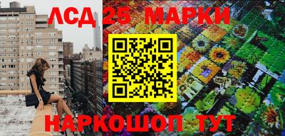 спиды Долгопрудный